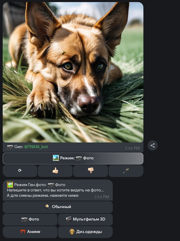 TorraNox Bot 1
